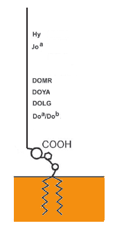 Représentation schématique du système Dombrock