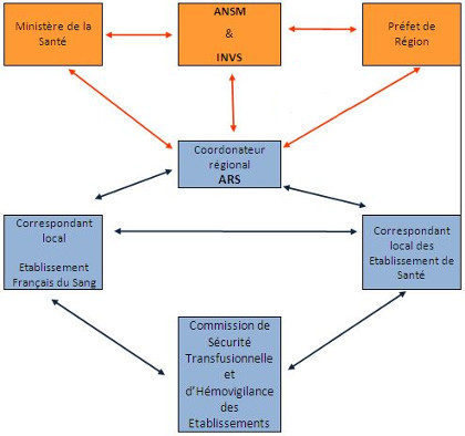 Organisation de l'hémovigilance avec les acteurs en France