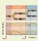 Graphique de la cinétique de l'immunisation
