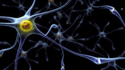 Photo de synapse d'un neurone