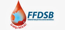 Logo de la F�d�ration Fran�aise des Donneurs de Sang B�n�voles (FFDSB)