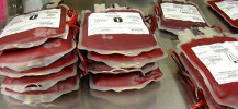 photo de produits sanguins labiles pr�ts � �tre transfus�s
