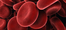 photo de globules rouges