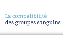 La compatibilité des groupes sanguins